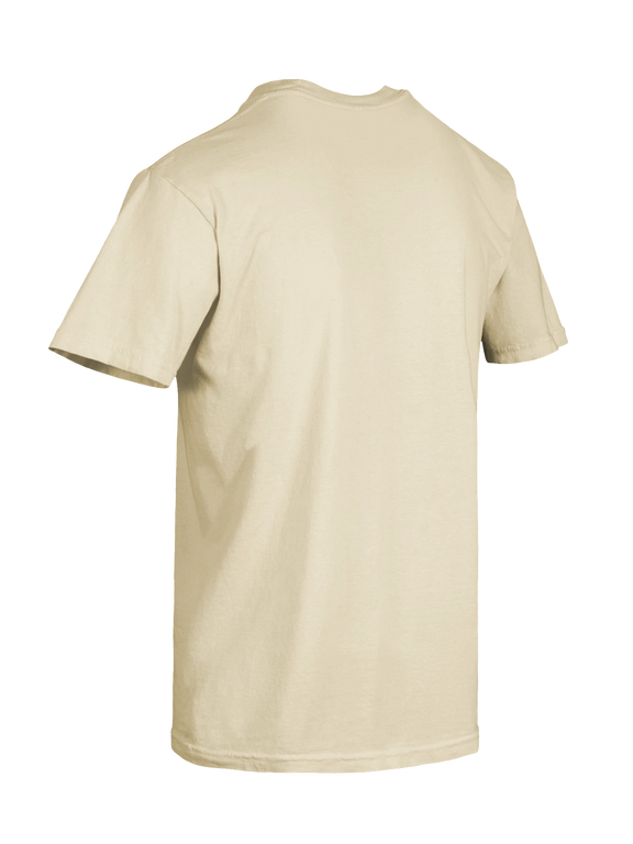 Dragon of the Fallen Castle - T-Shirt