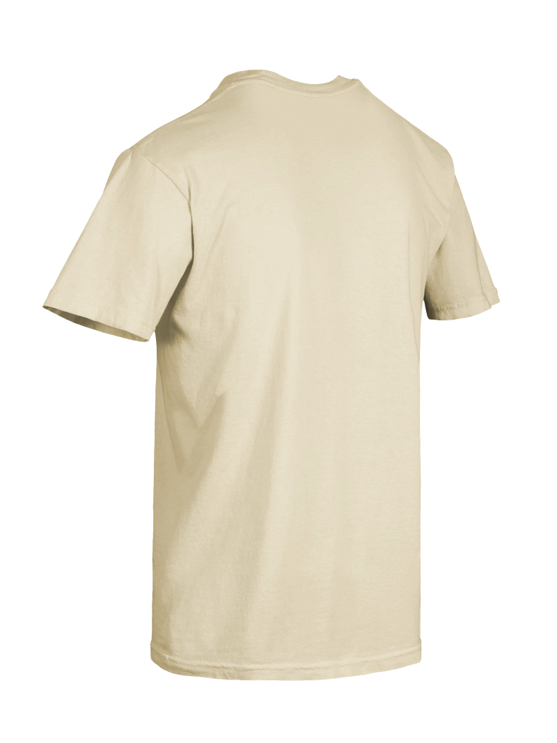Dragon of the Fallen Castle - T-Shirt