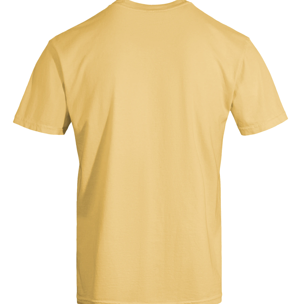 Dragon of the Fallen Castle - T-Shirt