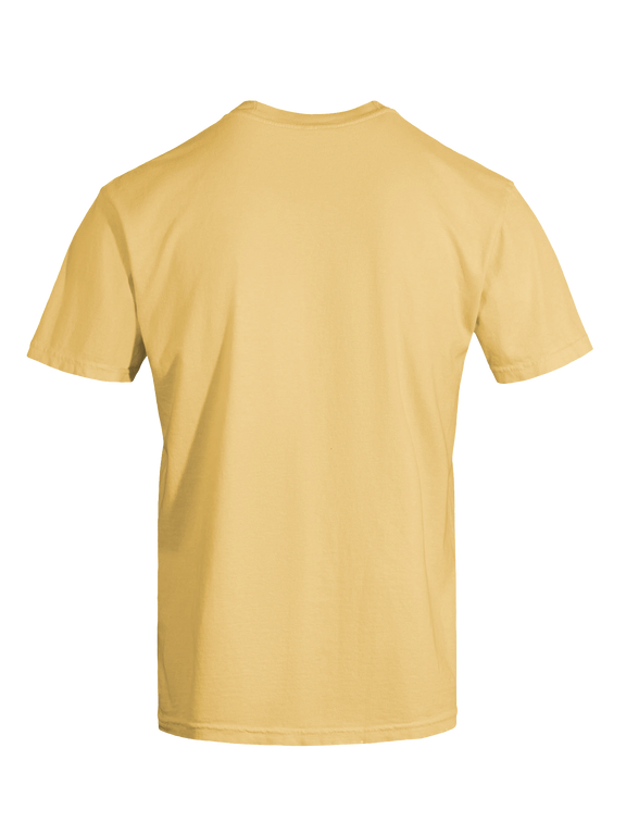 Dragon of the Fallen Castle - T-Shirt
