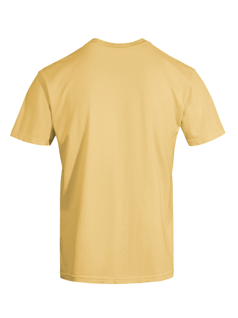 Dragon of the Fallen Castle - T-Shirt