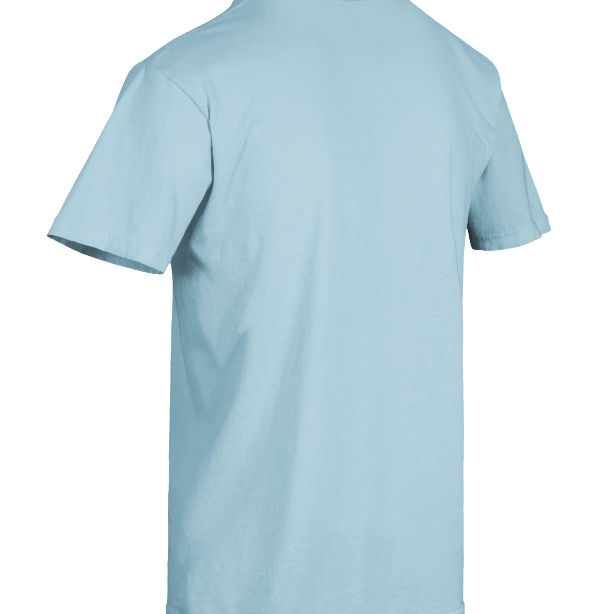 Dragon of the Fallen Castle - T-Shirt