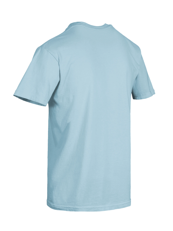 Dragon of the Fallen Castle - T-Shirt