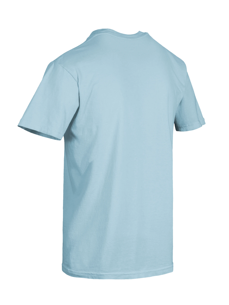Dragon of the Fallen Castle - T-Shirt