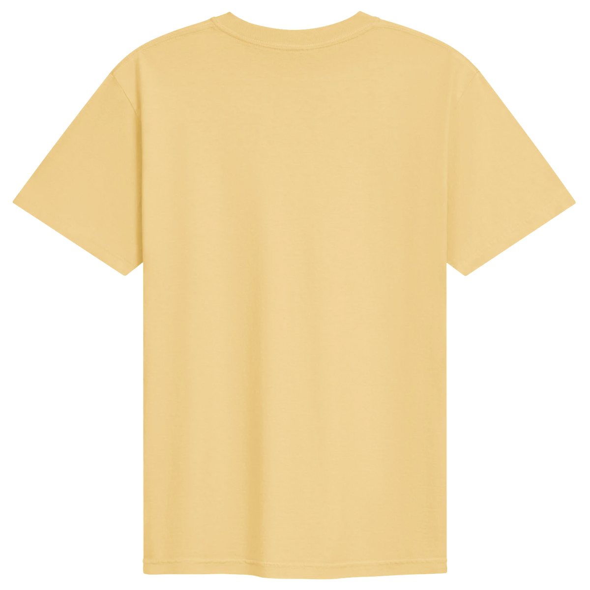 Dragon of the Fallen Castle - T-Shirt