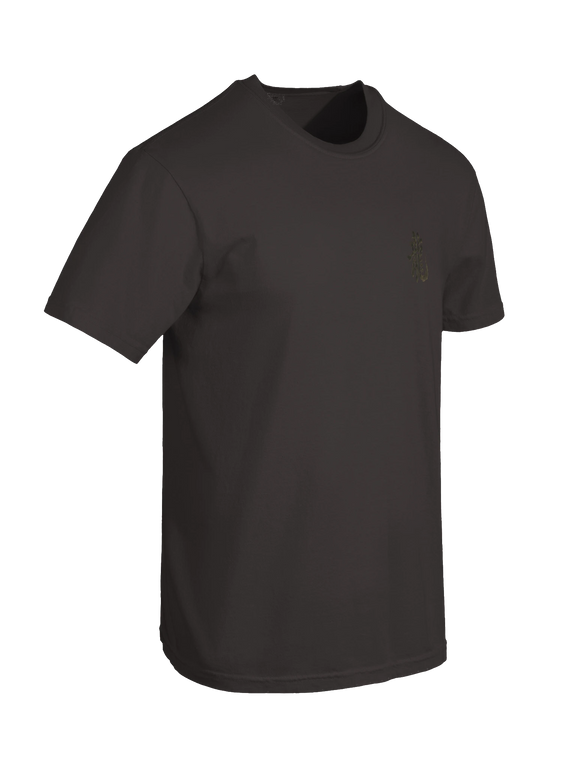 Dragon of the Fallen Castle - T-Shirt