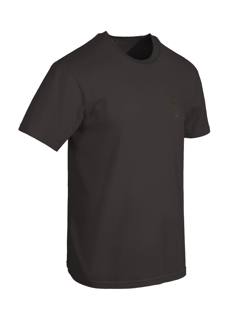 Dragon of the Fallen Castle - T-Shirt