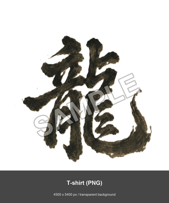 Dragon of the Fallen Castle - tshirt_png