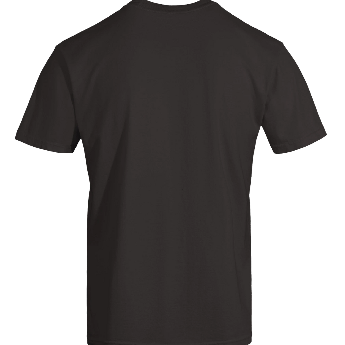 Dragon of the Fallen Castle - T-Shirt