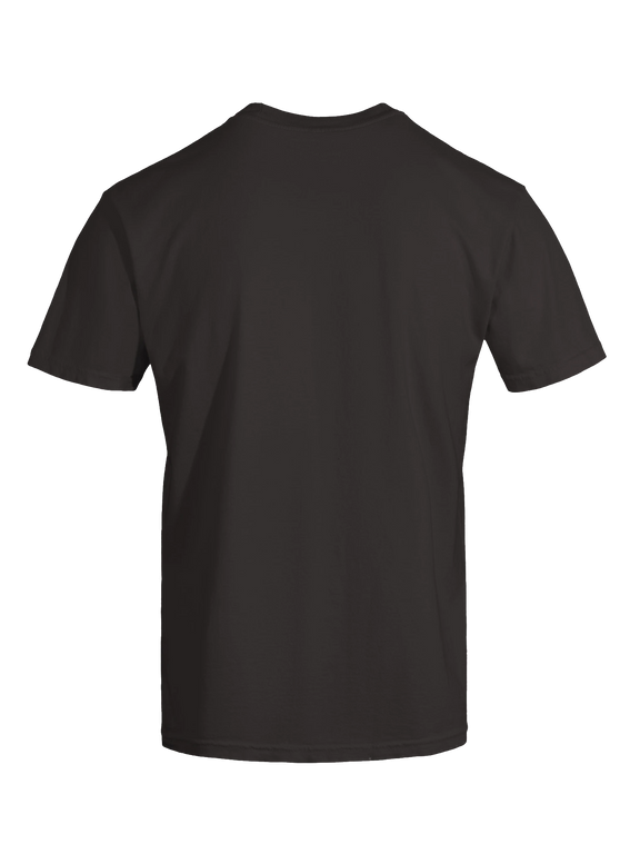 Dragon of the Fallen Castle - T-Shirt