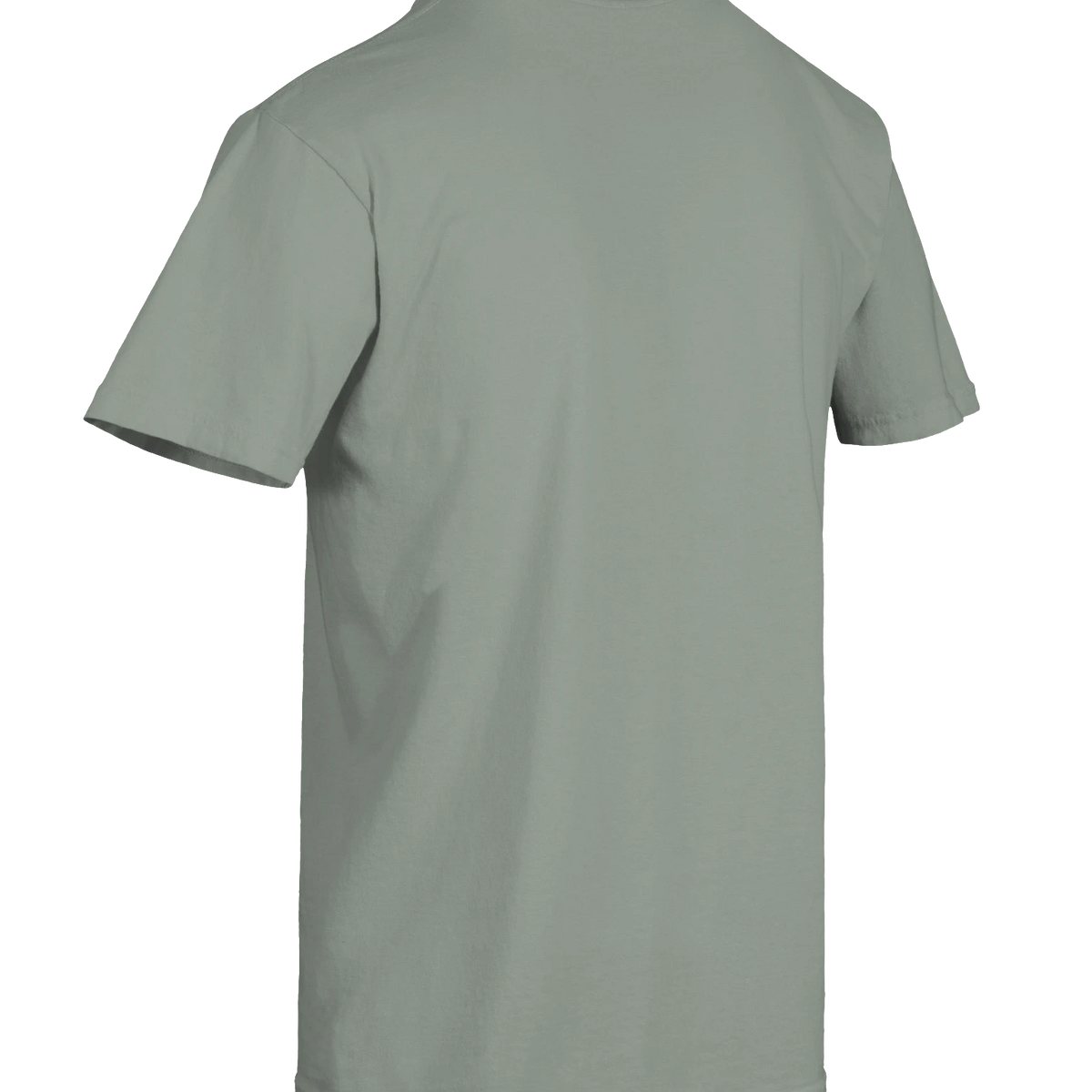 Dragon of the Fallen Castle - T-Shirt