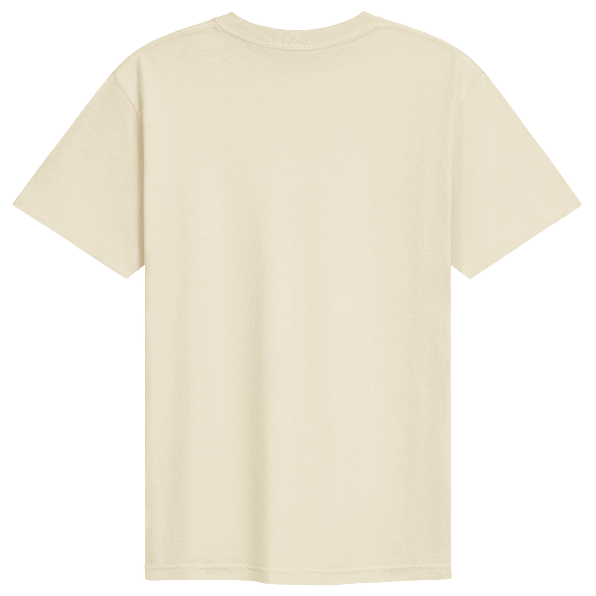 Dragon of the Fallen Castle - T-Shirt