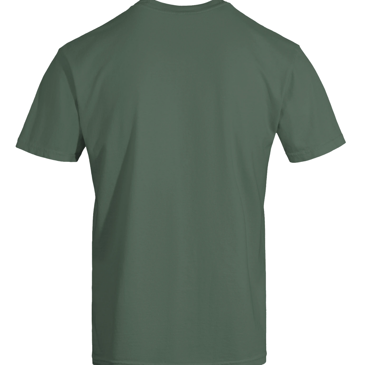 Dragon of the Fallen Castle - T-Shirt