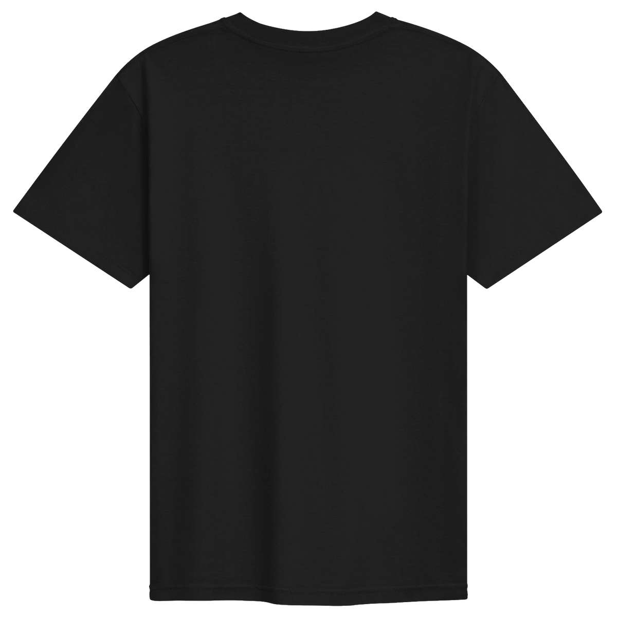 Dragon of the Fallen Castle - T-Shirt
