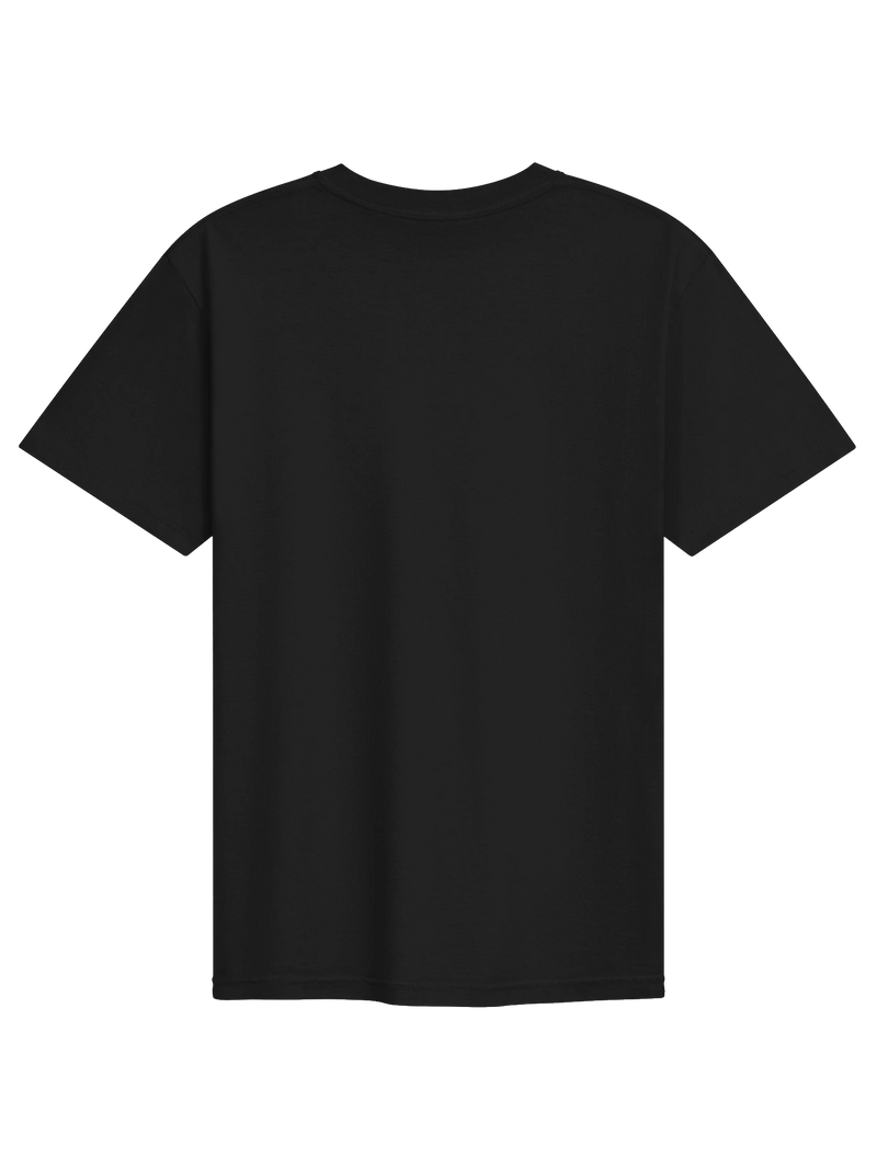 Dragon of the Fallen Castle - T-Shirt