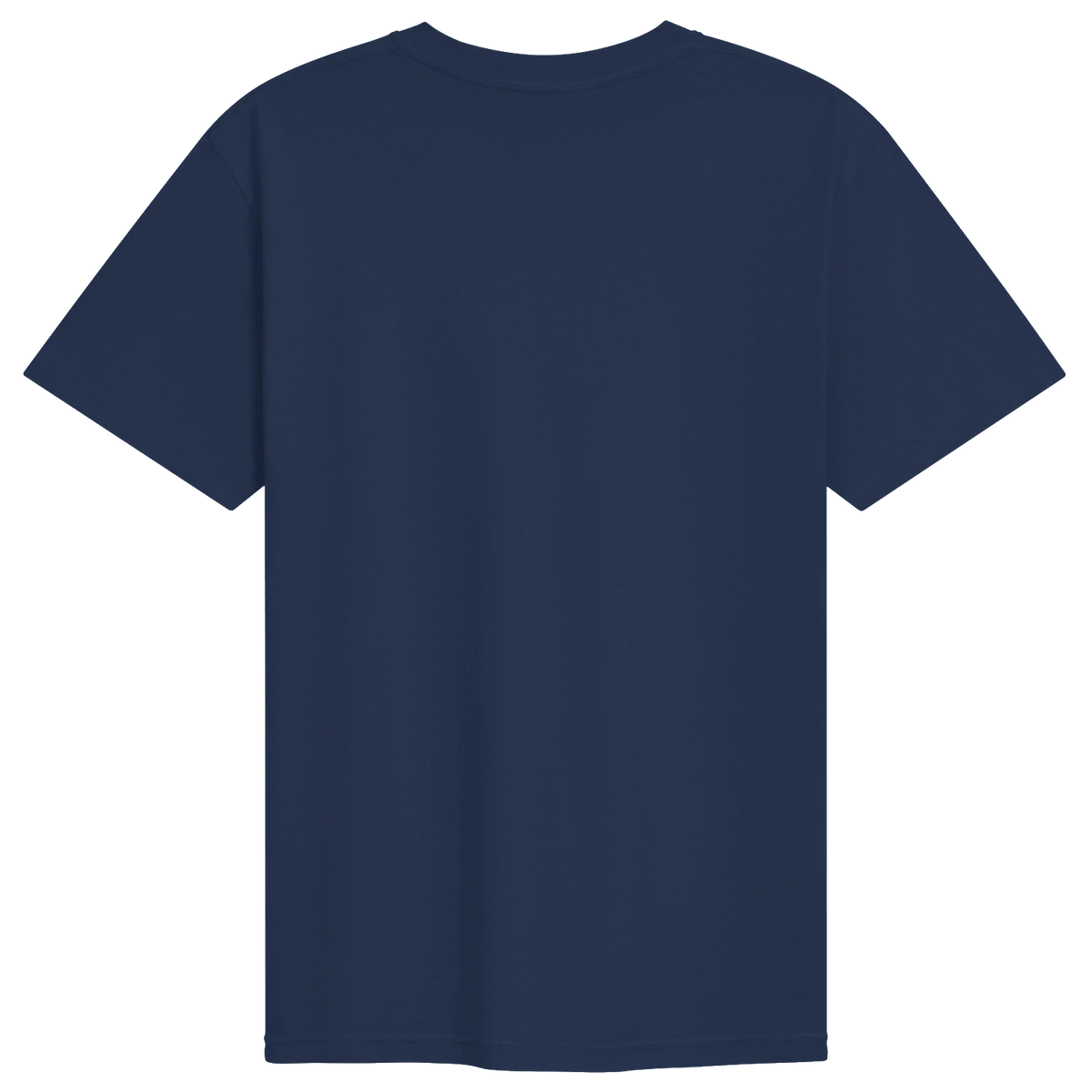 Dragon of the Fallen Castle - T-Shirt