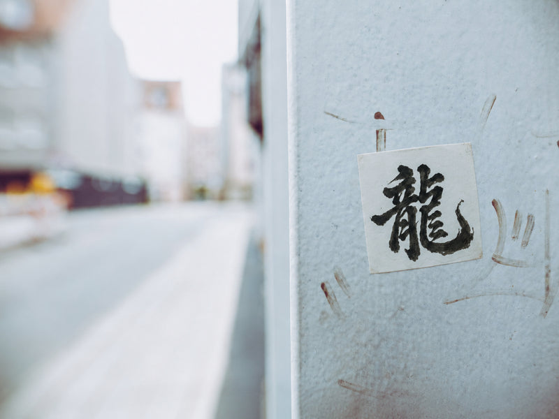 Dragon of the Fallen Castle - Sticker